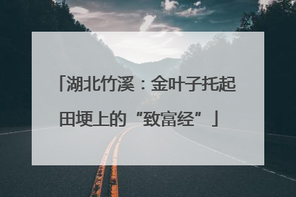 湖北竹溪：金叶子托起田埂上的“致富经”