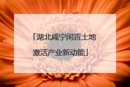 湖北咸宁闲置土地激活产业新动能