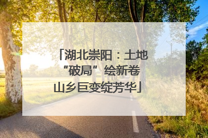 湖北崇阳：土地“破局”绘新卷 山乡巨变绽芳华