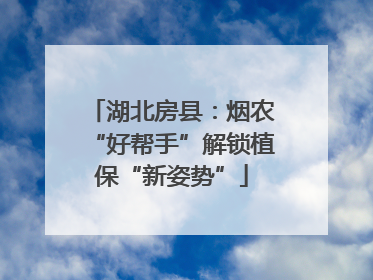 湖北房县：烟农“好帮手”解锁植保“新姿势”