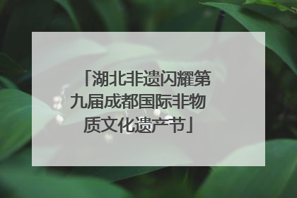 湖北非遗闪耀第九届成都国际非物质文化遗产节