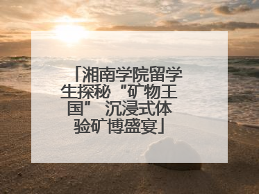 湘南学院留学生探秘“矿物王国” 沉浸式体验矿博盛宴