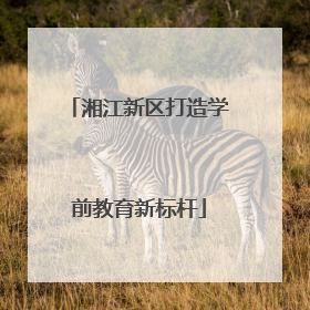 湘江新区打造学前教育新标杆