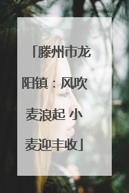 滕州市龙阳镇：风吹麦浪起 小麦迎丰收
