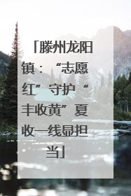 滕州龙阳镇：“志愿红”守护“丰收黄”夏收一线显担当