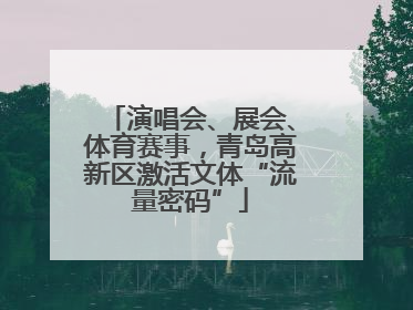 演唱会、展会、体育赛事，青岛高新区激活文体“流量密码”