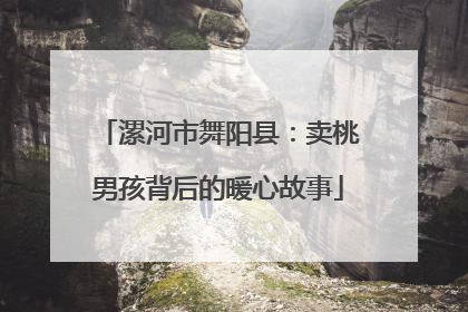 漯河市舞阳县：卖桃男孩背后的暖心故事