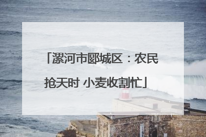 漯河市郾城区：农民抢天时 小麦收割忙