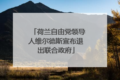 荷兰自由党领导人维尔德斯宣布退出联合政府