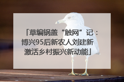 草编锅盖“触网”记：博兴95后新农人刘建新激活乡村振兴新动能