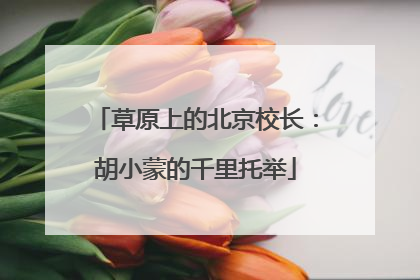 草原上的北京校长：胡小蒙的千里托举