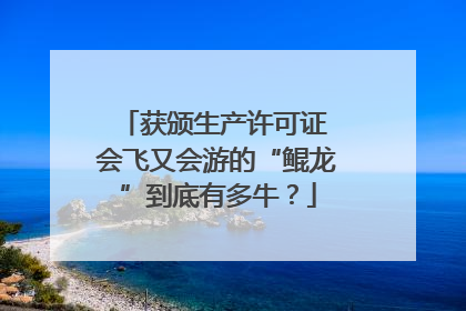 获颁生产许可证 会飞又会游的“鲲龙”到底有多牛？