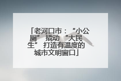 老河口市：“小公厕” 撬动 “大民生” 打造有温度的城市文明窗口