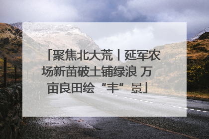 聚焦北大荒丨延军农场新苗破土铺绿浪 万亩良田绘“丰”景