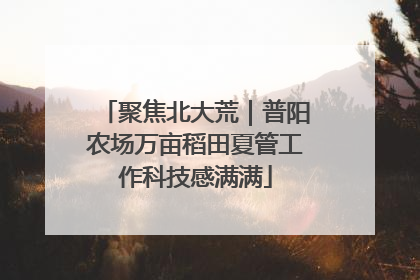 聚焦北大荒｜普阳农场万亩稻田夏管工作科技感满满