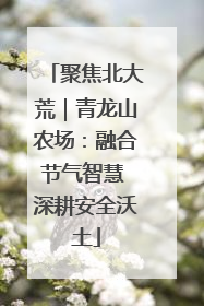 聚焦北大荒｜青龙山农场：融合节气智慧 深耕安全沃土