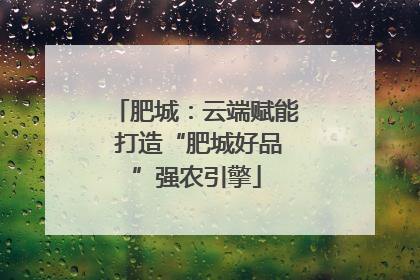 肥城：云端赋能 打造“肥城好品”强农引擎