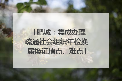 肥城：集成办理 疏通社会组织年检换届换证堵点、难点