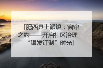 肥西县上派镇：窗帘之约——开启社区治理“银发订制”时光