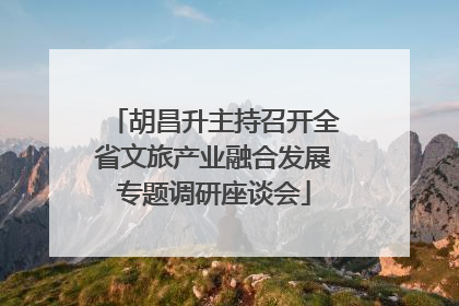 胡昌升主持召开全省文旅产业融合发展专题调研座谈会