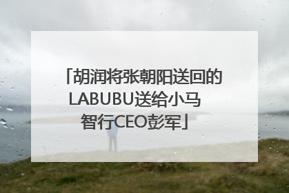 胡润将张朝阳送回的LABUBU送给小马智行CEO彭军