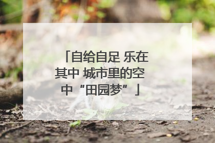 自给自足 乐在其中 城市里的空中“田园梦”