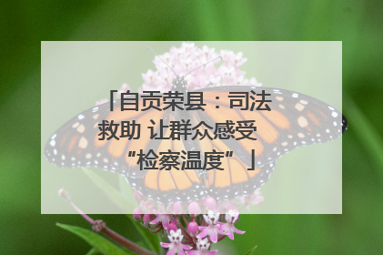 自贡荣县：司法救助 让群众感受“检察温度”