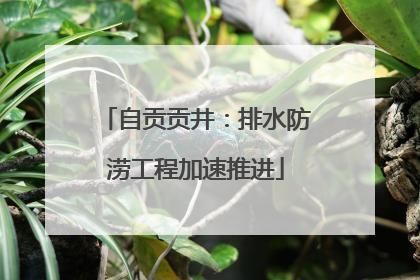 自贡贡井：排水防涝工程加速推进