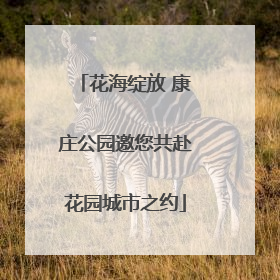 花海绽放 康庄公园邀您共赴花园城市之约