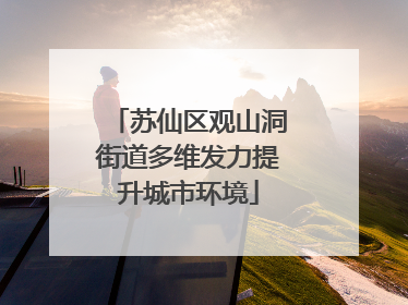 苏仙区观山洞街道多维发力提升城市环境