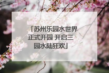 苏州乐园水世界正式开园 开启三园水陆狂欢