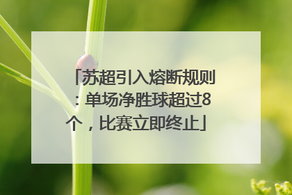 苏超引入熔断规则：单场净胜球超过8个，比赛立即终止