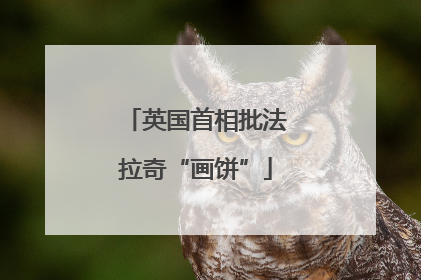 英国首相批法拉奇“画饼”