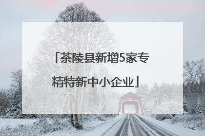 茶陵县新增5家专精特新中小企业