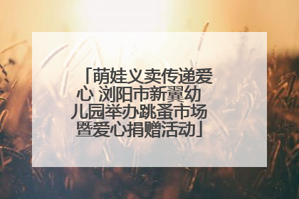 萌娃义卖传递爱心 浏阳市新翼幼儿园举办跳蚤市场暨爱心捐赠活动