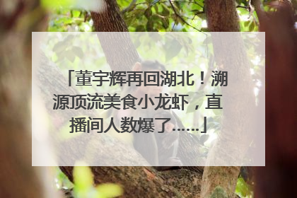 董宇辉再回湖北！溯源顶流美食小龙虾，直播间人数爆了……
