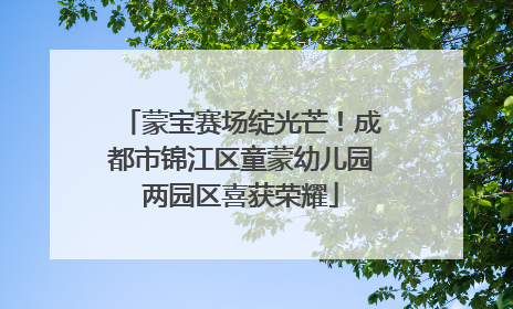 蒙宝赛场绽光芒！成都市锦江区童蒙幼儿园两园区喜获荣耀
