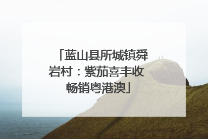 蓝山县所城镇舜岩村：紫茄喜丰收 畅销粤港澳