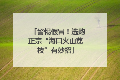警惕假冒！选购正宗“海口火山荔枝”有妙招