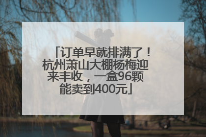 订单早就排满了！杭州萧山大棚杨梅迎来丰收，一盒96颗能卖到400元