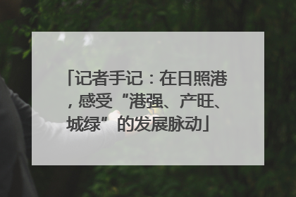 记者手记：在日照港，感受“港强、产旺、城绿”的发展脉动