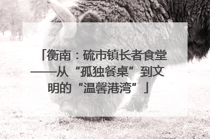 衡南：硫市镇长者食堂——从“孤独餐桌”到文明的“温馨港湾”