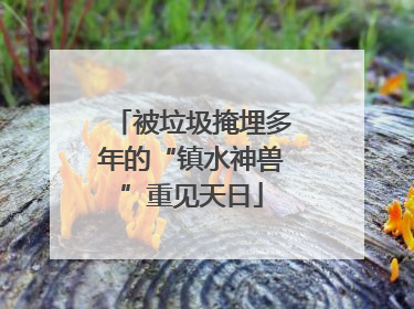 被垃圾掩埋多年的“镇水神兽”重见天日