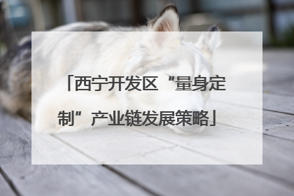 西宁开发区“量身定制”产业链发展策略