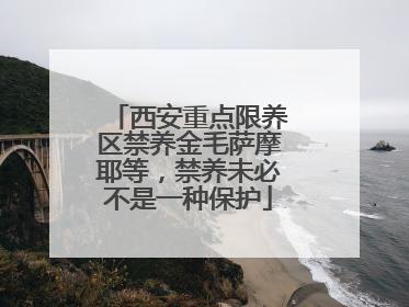 西安重点限养区禁养金毛萨摩耶等，禁养未必不是一种保护