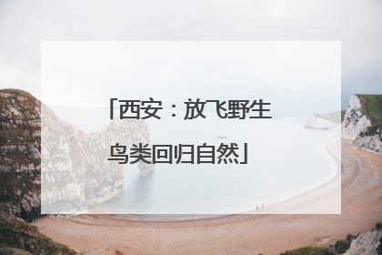 西安：放飞野生鸟类回归自然