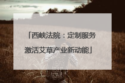 西峡法院：定制服务激活艾草产业新动能