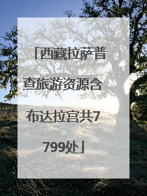 西藏拉萨普查旅游资源含布达拉宫共7799处