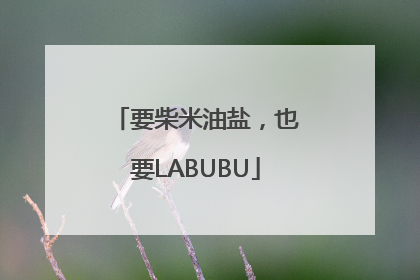 要柴米油盐，也要LABUBU