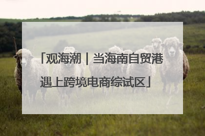 观海潮｜当海南自贸港遇上跨境电商综试区